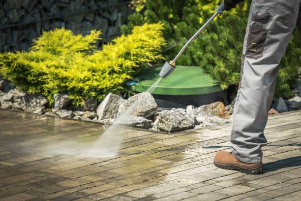 Best Warehouse Cleaning  in Tehachapi, CA