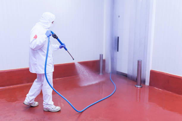 Best Pre-Holiday Cleaning  in Tehachapi, CA
